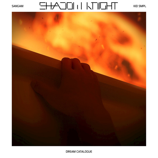 Shadow Knight album cover