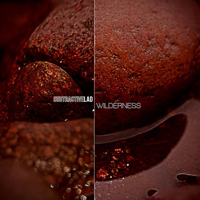 Wilderness album cover
