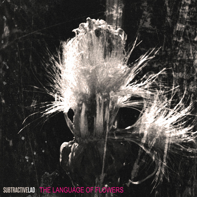 The Language of Flowers album cover
