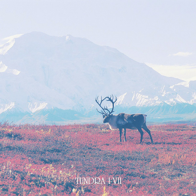 Tundra I-VII album cover