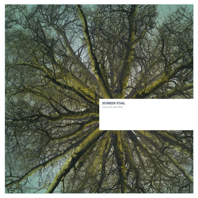 Fallen Arches album cover