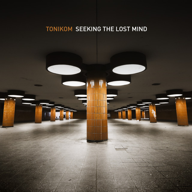 Seeking the Lost Mind album cover