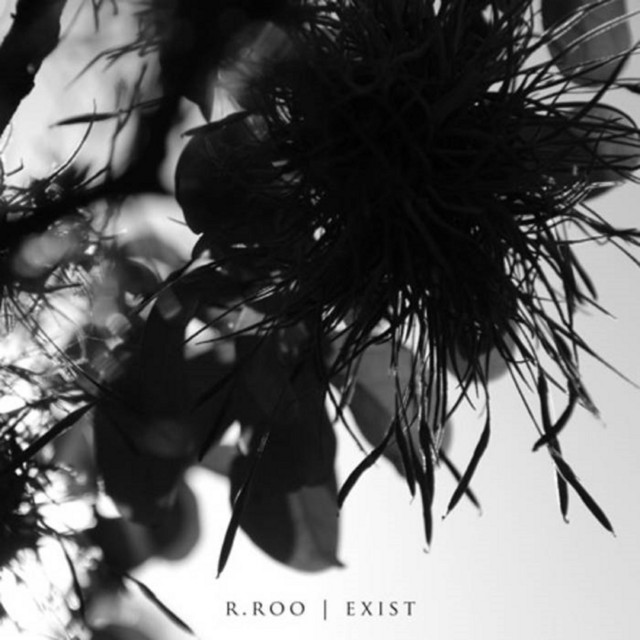 Exist album cover
