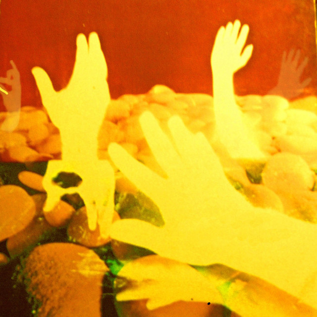 You'll Be a Hero Soon, Speaker album cover