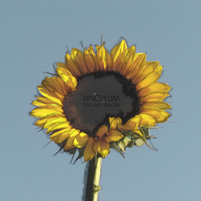 Vinculum album cover