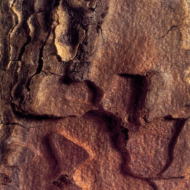 No1 album cover