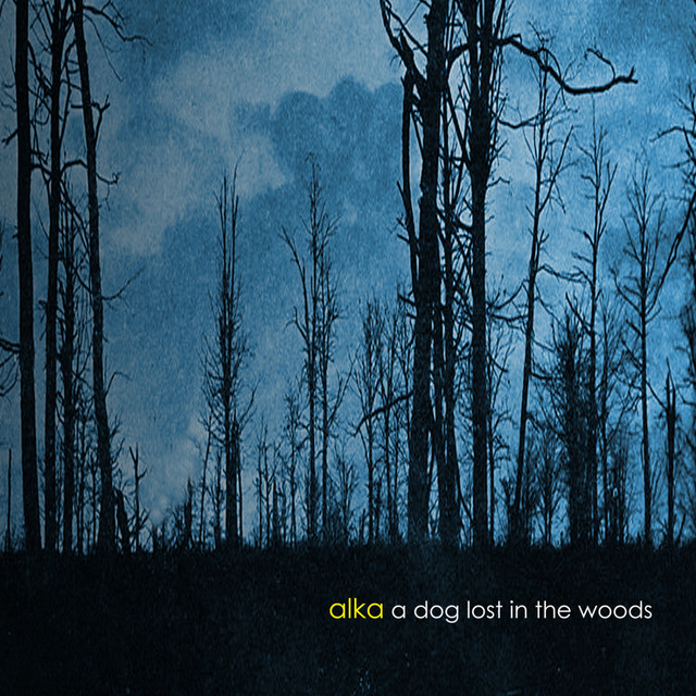A Dog Lost In The Woods album cover