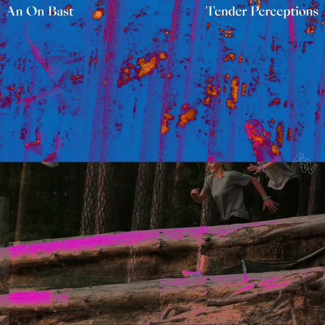 Tender Perceptions album cover