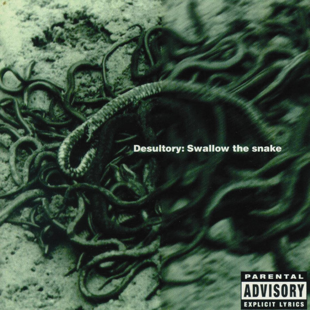 Swallow the Snake album cover
