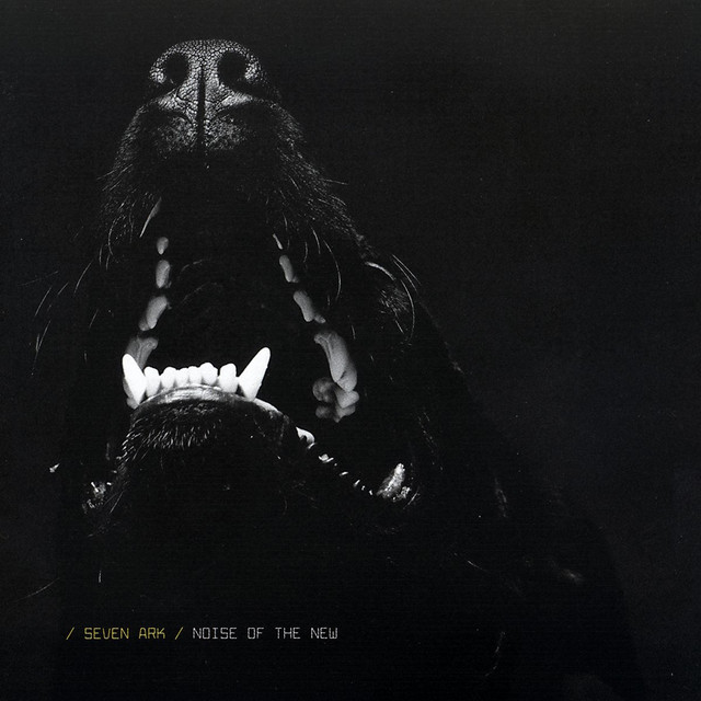 Noise of the New album cover