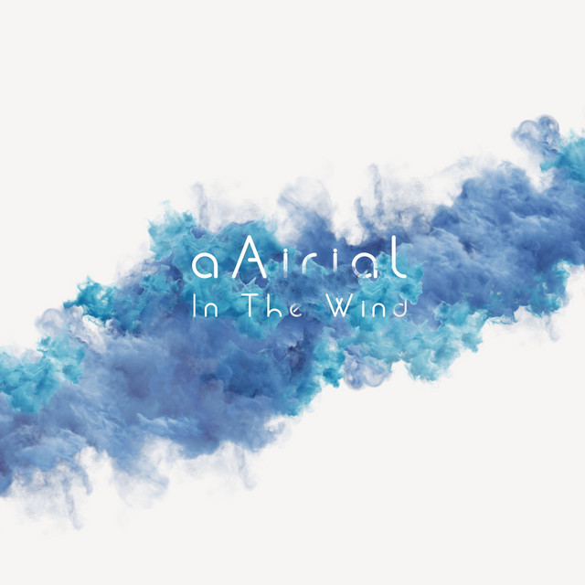 In The Wind album cover