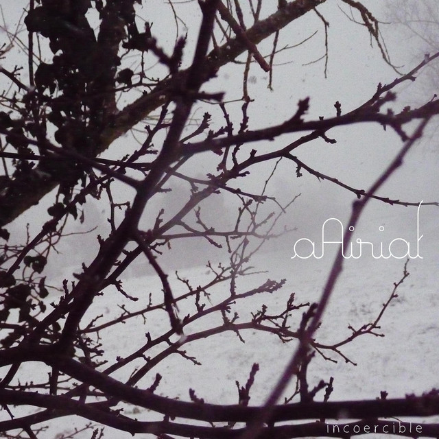 incoercible album cover