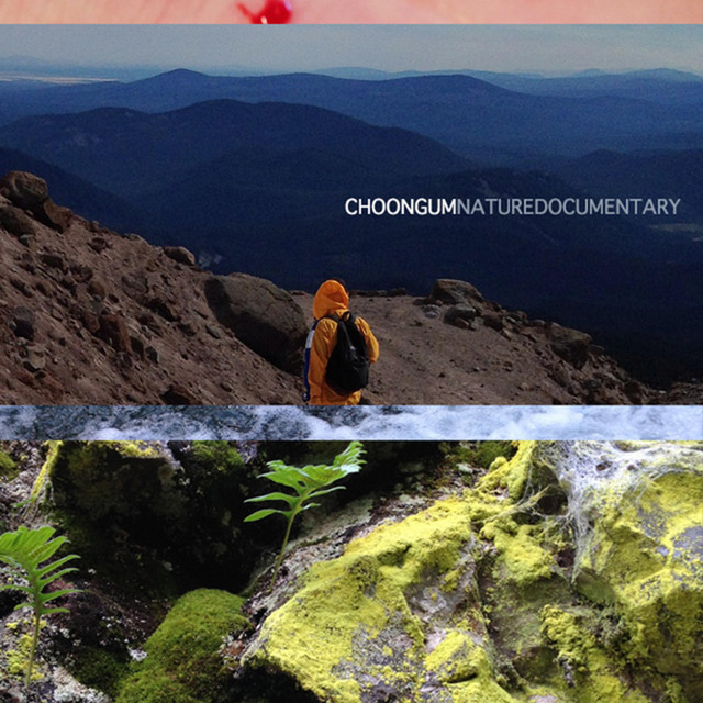 Nature Documentary album cover