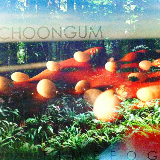 Timefog album cover