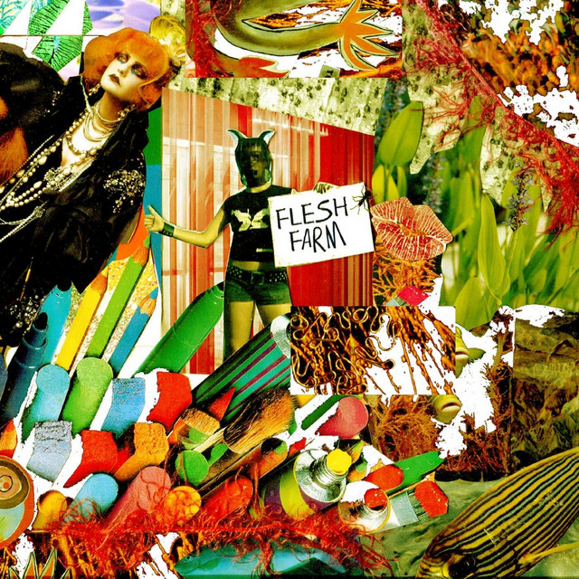 Flesh Farm album cover