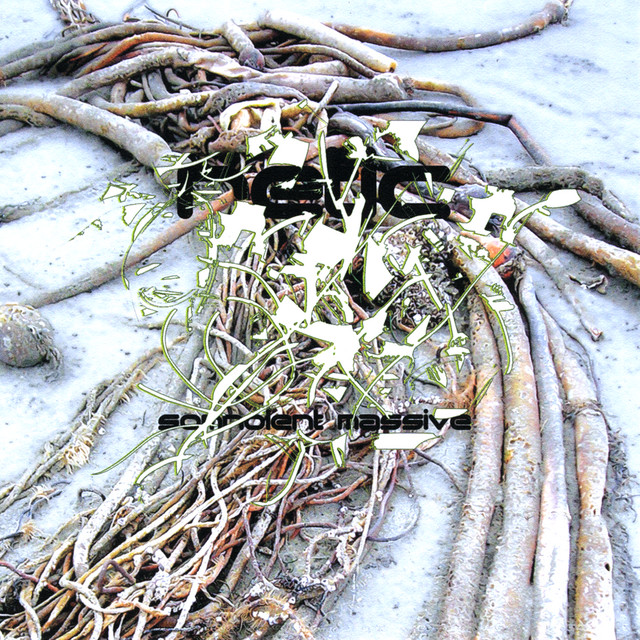 Somnolent Massive album cover