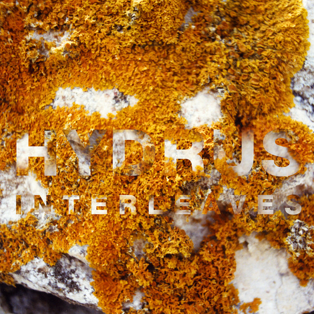 Interleaves album cover