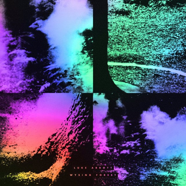 Wysing Forest album cover