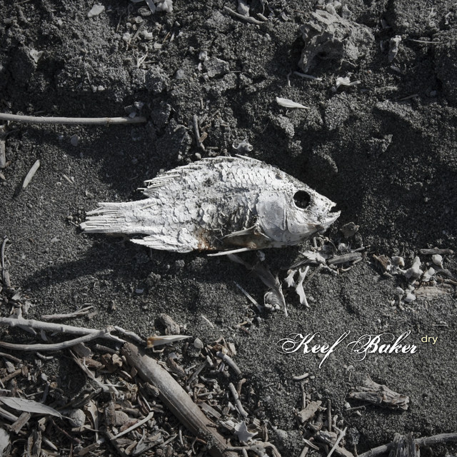Dry album cover