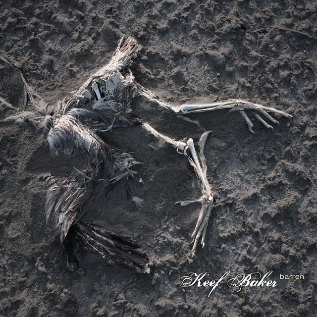 Barren album cover
