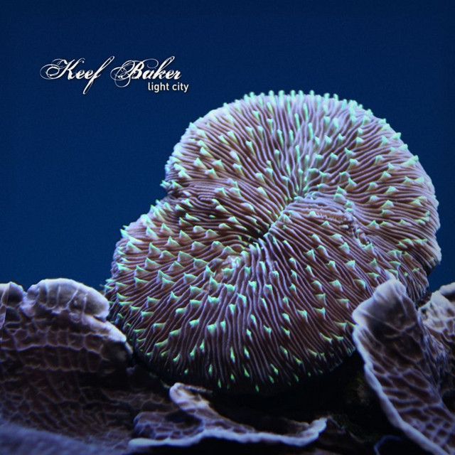 Light City album cover