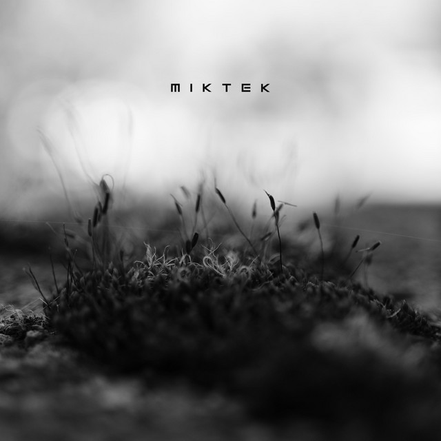 Ambient Network II album cover