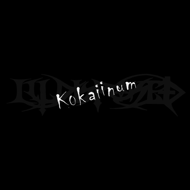 Kokaiinum album cover