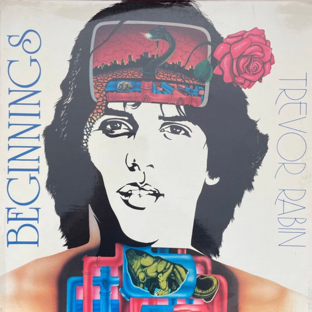 Beginnings album cover