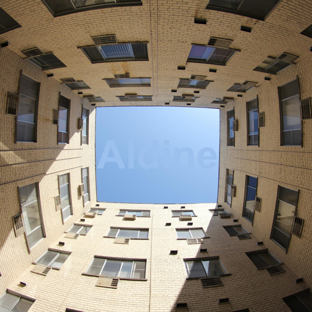 Aldine album cover