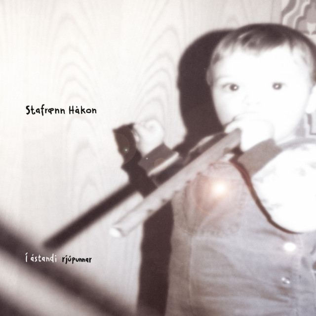 Í ástandi rjúpunnar album cover