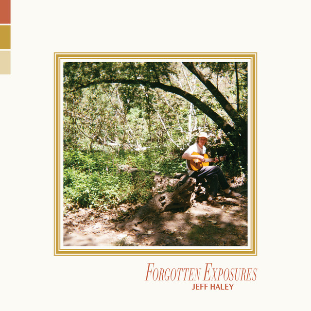 Forgotten Exposures album cover
