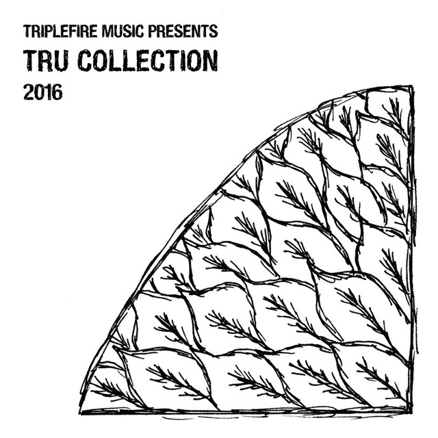 TRU Collection 2016 album cover