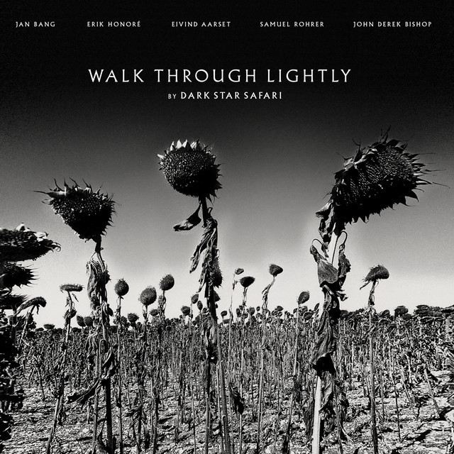 Walk Through Lightly album cover