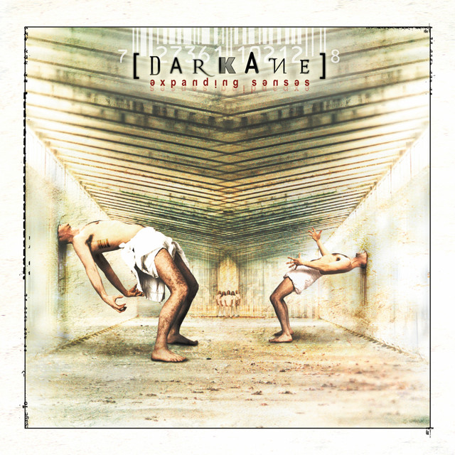Expanding Senses (Bonus Version) album cover
