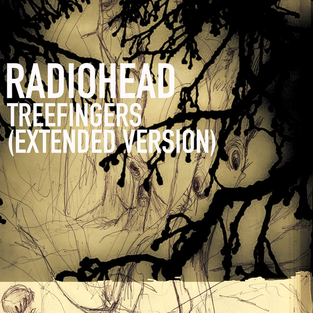 NS Designs CR4M as heard on Treefingers (Extended Version) by Radiohead (2000)