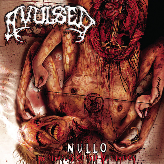 Nullo (The Pleasure of Self-Mutilation) album cover