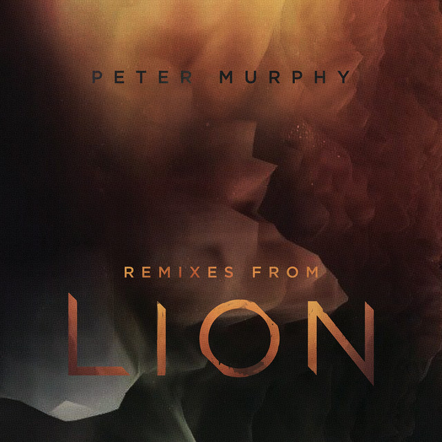 Remixes from Lion album cover