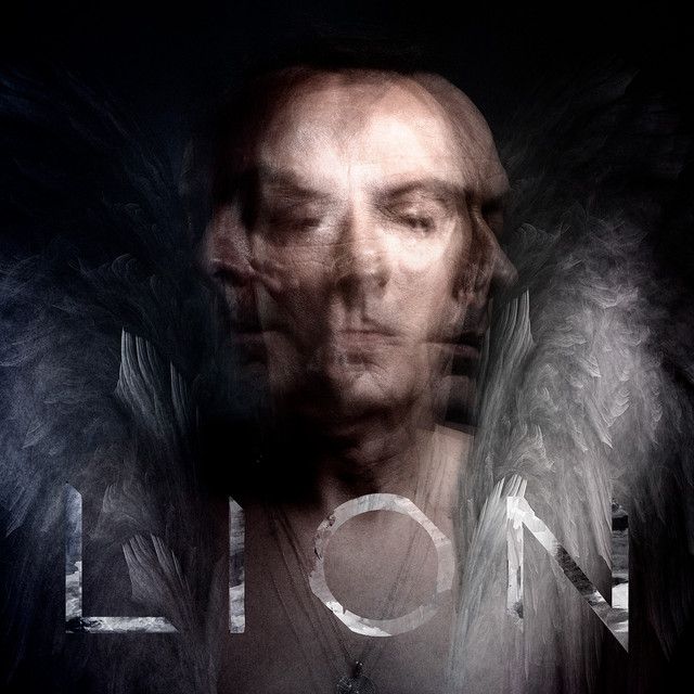 Lion album cover