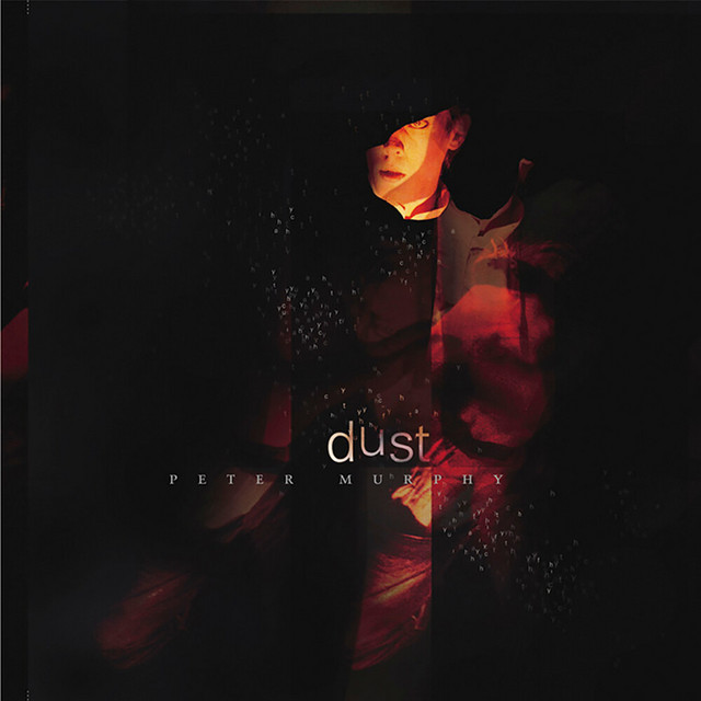 Dust album cover