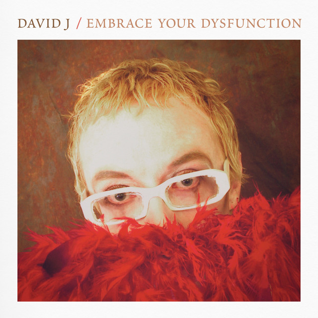 Embrace Your Dysfunction album cover
