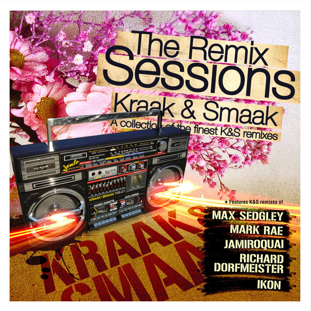 The Remix Sessions album cover