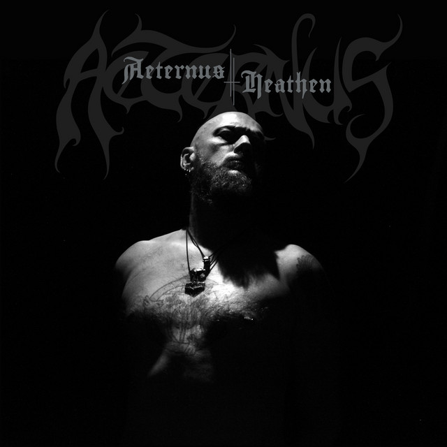 Heathen album cover