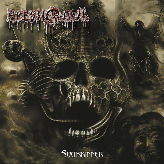 Soulskinner album cover