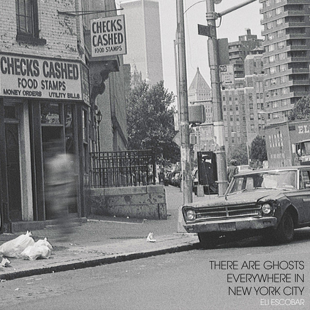 There Are Ghosts Everywhere In New York City album cover