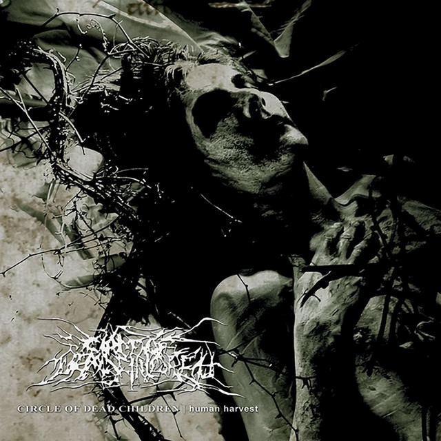 Human Harvest album cover