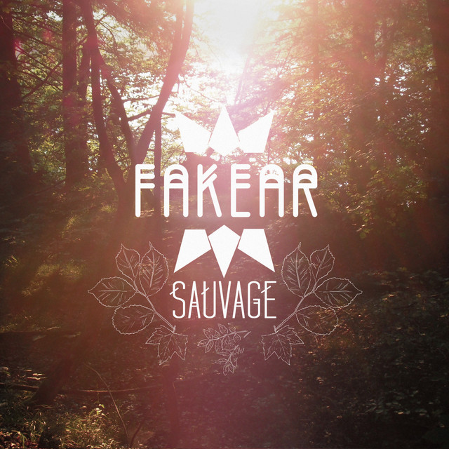 Native Instruments Maschine MKII as heard on Sauvage by Fakear (2014)