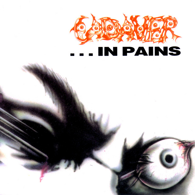 ...In Pains album cover