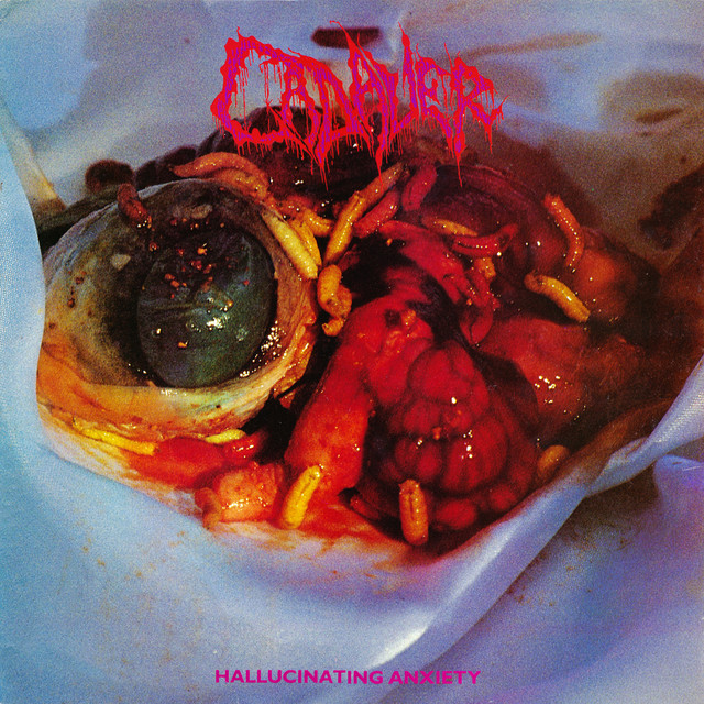 Hallucinating Anxiety album cover