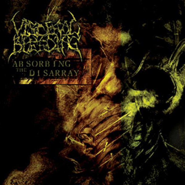 Absorbing The Disarray album cover