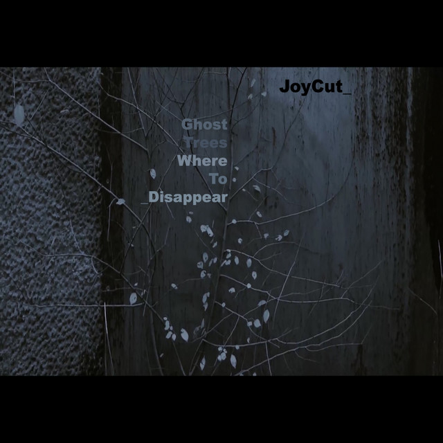 Ghost Trees Where to Disappear album cover
